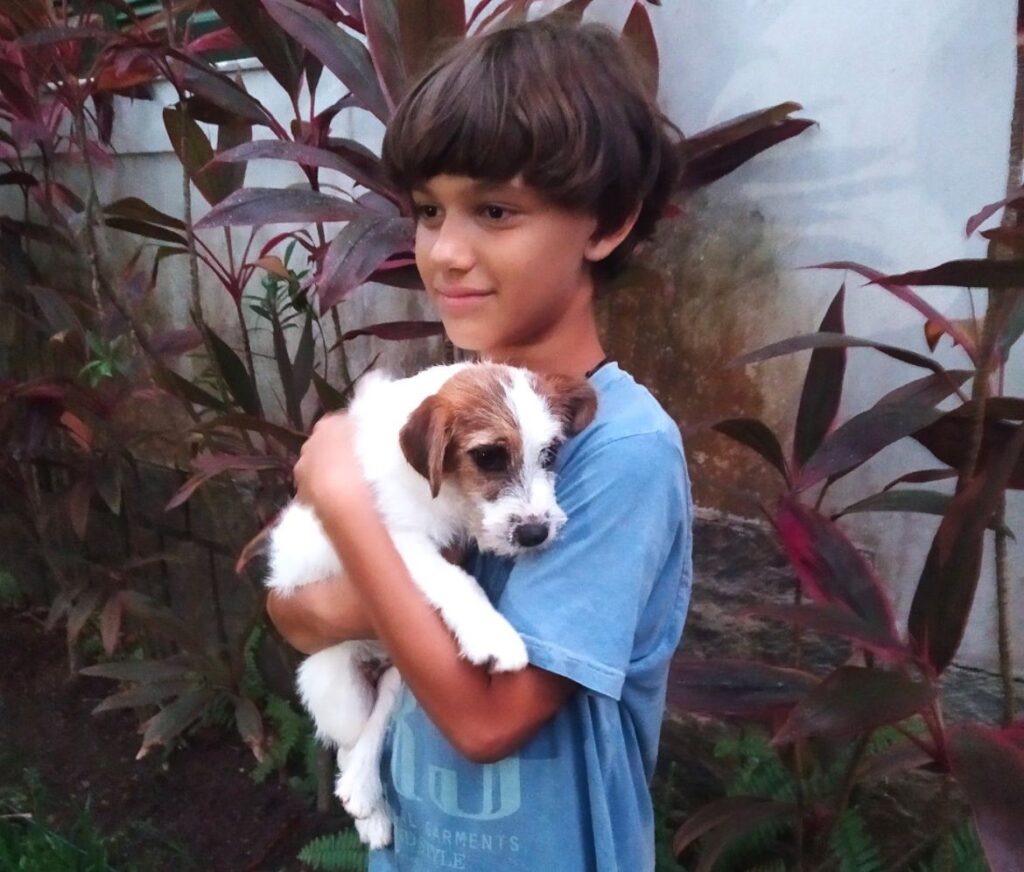 Cães de ‘Ainda estou aqui’ ganham prêmio pelo papel de Pimpão, o pet da família Paiva