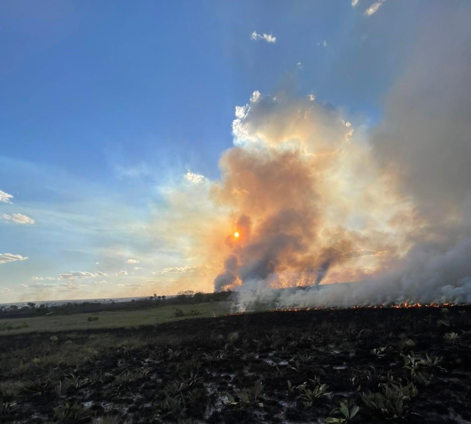 Incêndio atinge território quilombola e destrói parte de campo de capim dourado
