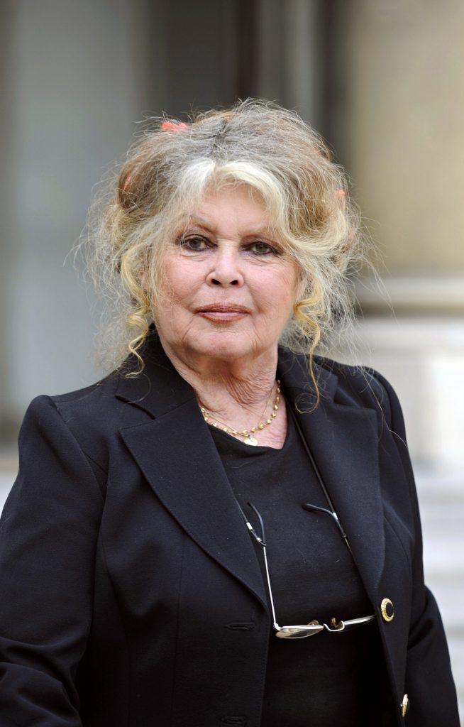 Brigitte Bardot volta para casa após breve hospitalização