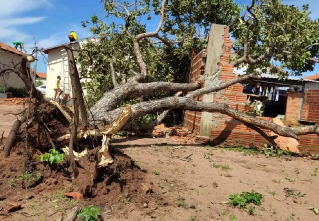 Após sete meses, prefeitura faz contrato emergencial sem licitação para recuperar casas atingidas por temporal em Palmas